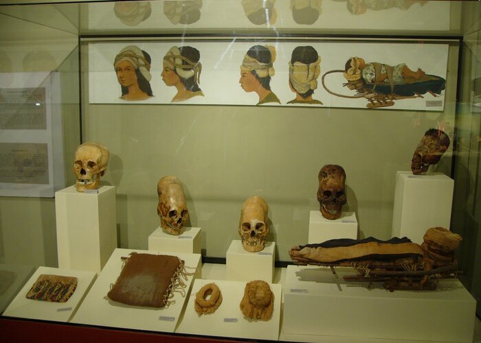 Regional Museum of Ica