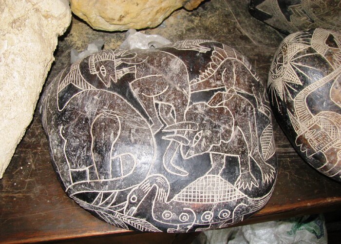 Javier Cabrera Scientific Museum