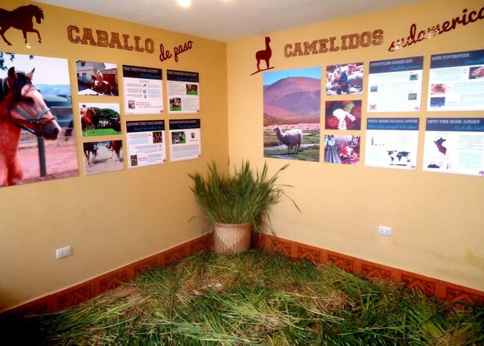 100% Peru living museum