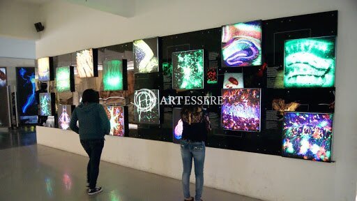 Universum Science Museum