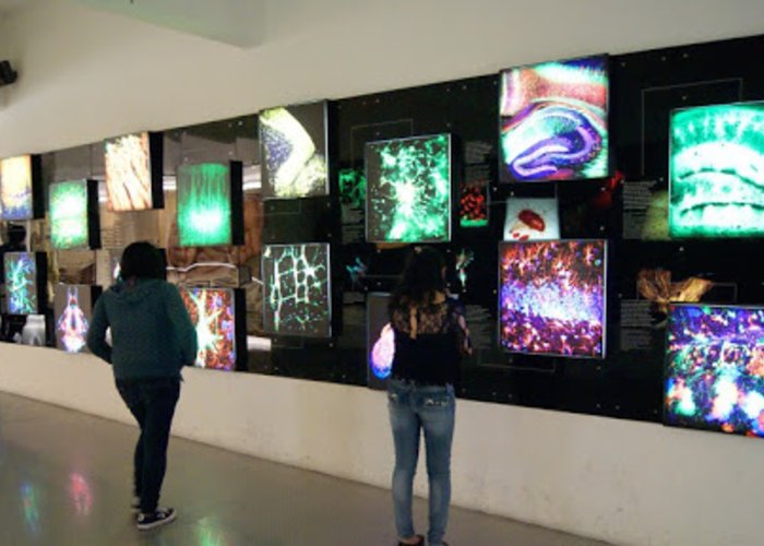 Universum Science Museum