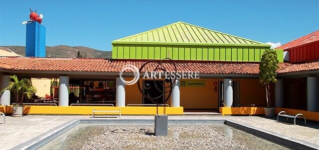 Museum of La Avispa