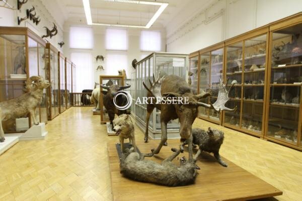 The Kazan University Zoological Museum of Eversmann E.A.
