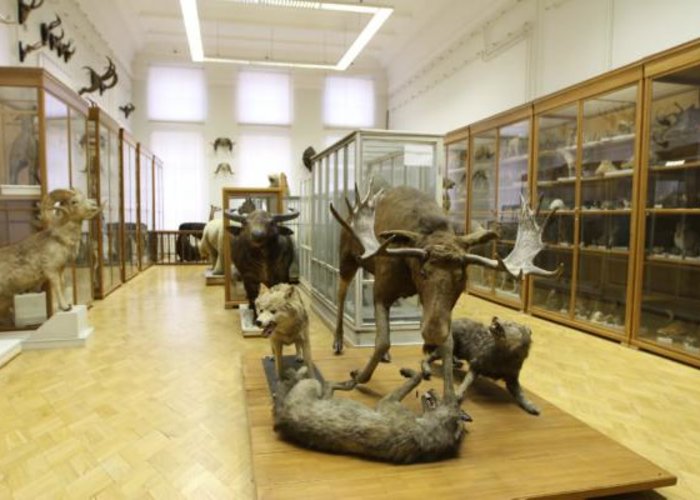The Kazan University Zoological Museum of Eversmann E.A.