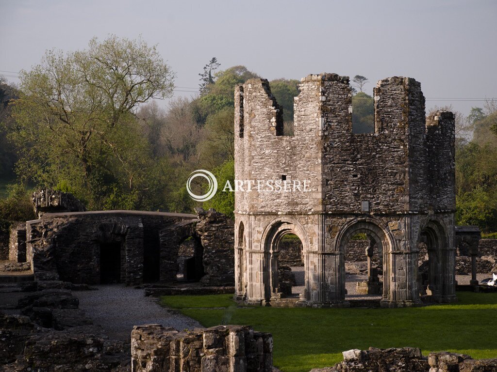 Mellifont Abbey