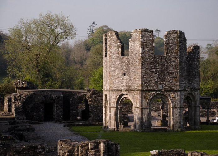 Mellifont Abbey