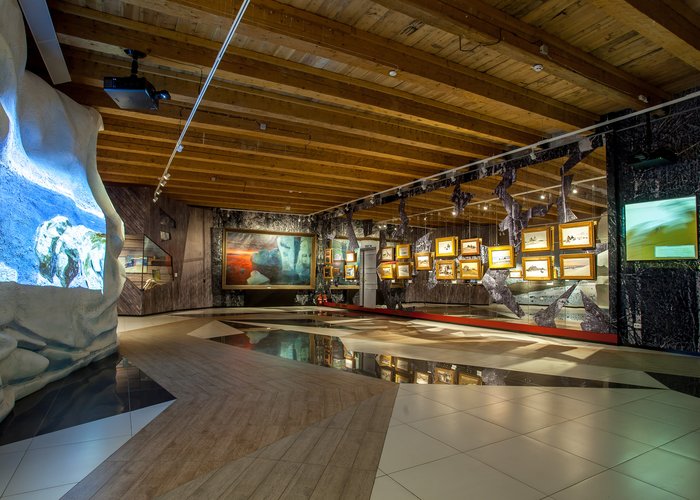 The museum of the artistic development of the Arctic of A.A. Borisov