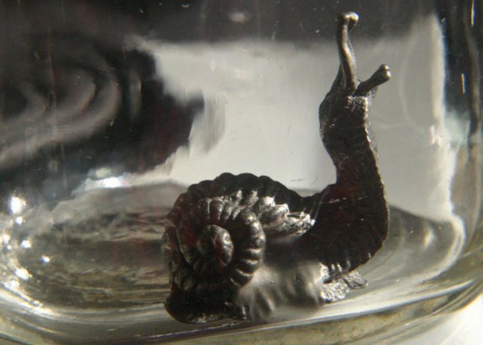 Jonesonian Institute