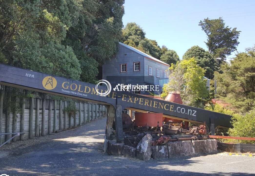 Thames Goldmine Experience