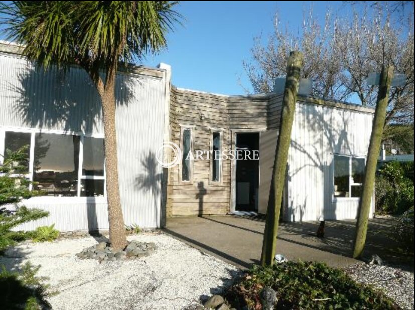 Ringcraft Moana Workshops